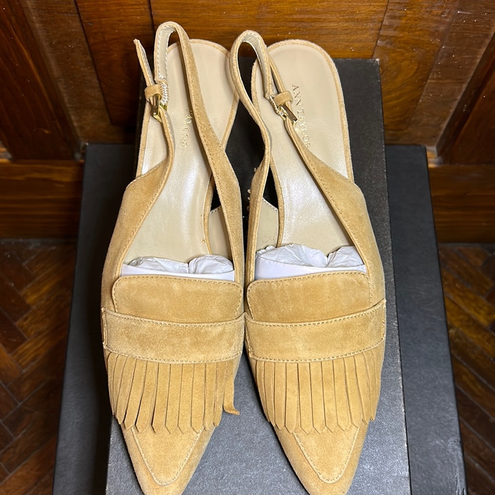 Ann Taylor .Brand New . Size 7. Color : Tan